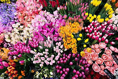 飞利浦全能游戏电视G1系列新锐上市，打造不一样大屏游戏王者